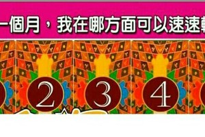 神準測驗。。未來一個月，我在哪方面可以速速轉運？。。分享。要轉運的趕快來測測看~~¤