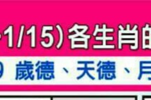 1/9~15 各生肖整體運勢