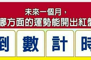 超神準測驗~¤~未來一個月，我哪方面的運勢能開出紅盤？