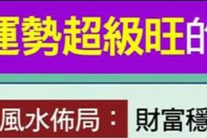 2016年讓【運勢超級旺】的風水佈局