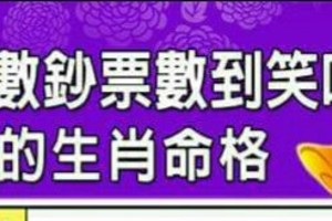 2016年數鈔票數到笑哈哈的生肖命格