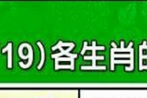 2/13~2/19 各生肖整體運勢