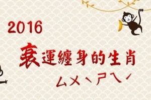 2016衰運纏身的生肖！