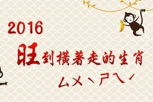 2016旺到橫著走的生肖！