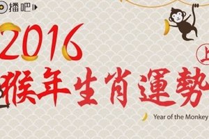 2016生肖運勢~屬鼠，牛，豬的，準備嗨翻天了。。。