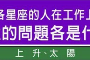 各星座的人在工作上最大的問題各是什麼？