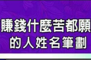  為了賺錢什麼苦都願意吃的人姓名筆劃