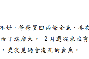 來看小朋友寫的國小題目~讓老師如何驚點評語~~~