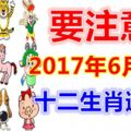 2017年6月6號十二生肖運勢！要注意！