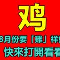 屬雞人8月份要「雞」祥如意了！快來打開看看