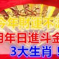 今年財運不濟，明年日進鬥金的3大生肖！