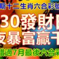 第二十期十二生肖六合彩號碼組合！730發財日，一夜暴富贏千萬。別錯過7月最後六合彩大獎。