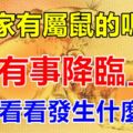 你家有屬鼠的嗎？將「有事降臨」，趕緊看看！