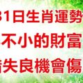 8月31日生肖運勢前三，獲得不小的財富收穫，錯失良機會傷財