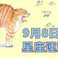 2017年9月8日星期五十二星座運勢詳細分析