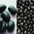 黑豆的功效與作用及食用方法分別有哪些