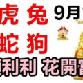 9月16日，生肖馬、虎、兔、猴、蛇、狗！順順利利，花開富貴！