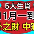 11月一到，這5大生肖不經意就中個彩票，意外之財數到樂開花！