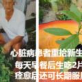 心髒病患者的新希望——蛇接骨治療三高症狀及心髒病的功效