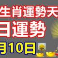 十二生肖運勢天天看，今日運勢：11月10日