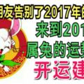 屬兔的朋友告別了2017年的沖太歲，來到2018年的屬兔的運勢解析！開運建議！