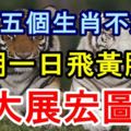 這個五個生肖不好惹，有朝一日飛黃騰達，大展宏圖！