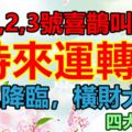 2月1,2,3號喜鵲叫不停，這4大生肖時來運轉，好運降臨，橫財大發