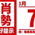 生肖運勢，天天好提示（3月7日）