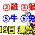 6月19日生肖運勢_鼠、雞、猴大吉