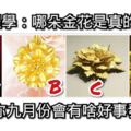 心理學：哪朵金花是真的？測你九月份會有啥好事發生？