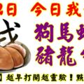 9月2日，今日我最旺！狗馬蛇雞豬龍牛虎！【68888】越早打開越靈驗！點個讚吧！