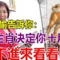 大師偷偷告訴你：你的生肖決定你十月財運的走向，還不進來看看嗎?