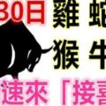 9月30日生肖運勢_雞、蛇、鼠大吉