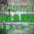 金秋10月，五行加持，5大屬相魚躍龍門，喜事不斷，享受一世繁華！