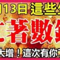 11月13日起，財富突然大增，忙著數鈔票的生肖