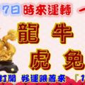 11月17日時來運轉一路發，龍牛猴虎兔狗，88秒內打開，好運跟著來『16888』