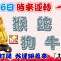 12月6日時來運轉一路發，猴蛇兔狗牛龍，88秒內打開，好運跟著來『16888』