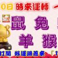 12月10日時來運轉一路發，鼠兔蛇羊猴豬，88秒內打開，好運跟著來『16888』