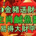 2019金豬送財送福，6大生肖鹹魚翻身，橫財易得，大財平穩！