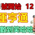 2月1號開始福運亨通，數錢數到笑哈哈的生肖