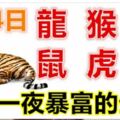 3月4日生肖運勢_龍、猴、牛大吉