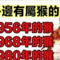 你身邊有屬猴的嗎？1956年，1968年，1980年的生肖猴，一生一世的命運神准