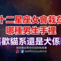 十二星座女會栽在哪種男生手裡，你喜歡貓系還是犬係呢？