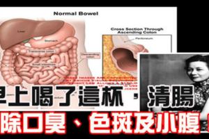 太神奇！！早上喝了這杯，清腸、除口臭、色斑及小腹！！！宋美齡女士活到112歲的秘方！！