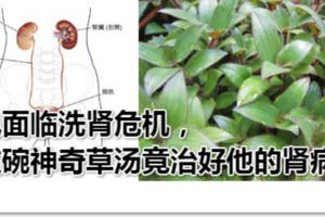 真人真事！他面臨洗腎危機,這碗「神奇草湯」竟治好他的腎病！（一次轉發救人無數！！！）