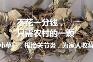 不花一分錢，只需農村的一顆「小草」，根治關節炎，為家人收藏！