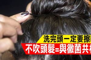 髒東西佈滿這內臟全因「不吹頭髮」！洗頭不吹=與「黴菌」共枕？三招拒絕互相傷害