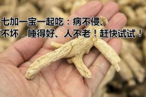 三七加一寶一起吃：病不侵、肝不壞，睡得好、人不老！趕快試試！