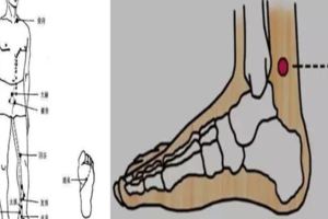 比足三裡更好的一個穴位！值得深灸！