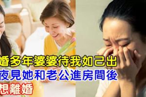 結婚多年婆婆待我如己出，深夜見她和老公進房間後，我想離婚